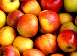 Äpfel